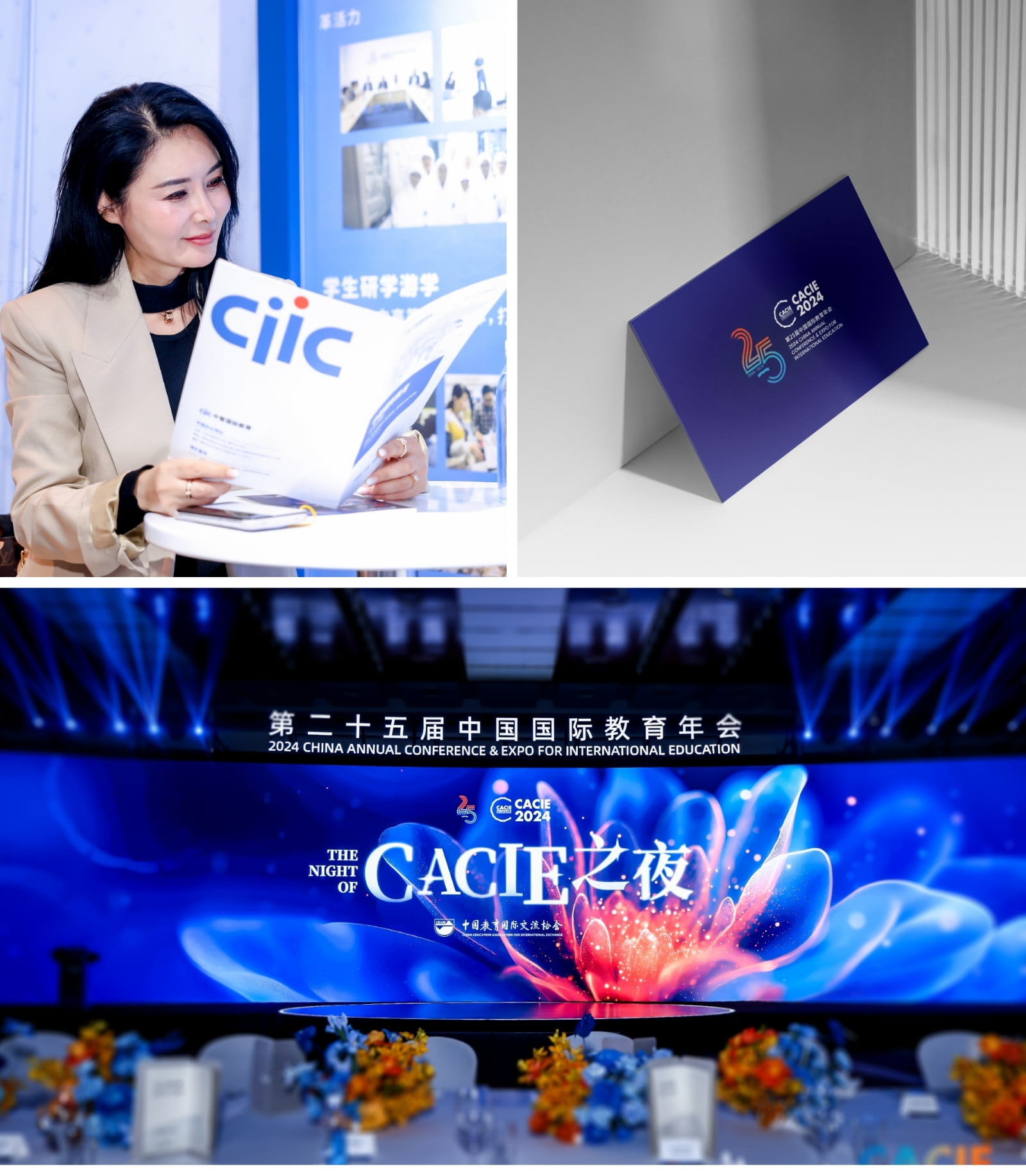 第25届中国国际教育年会vi设计